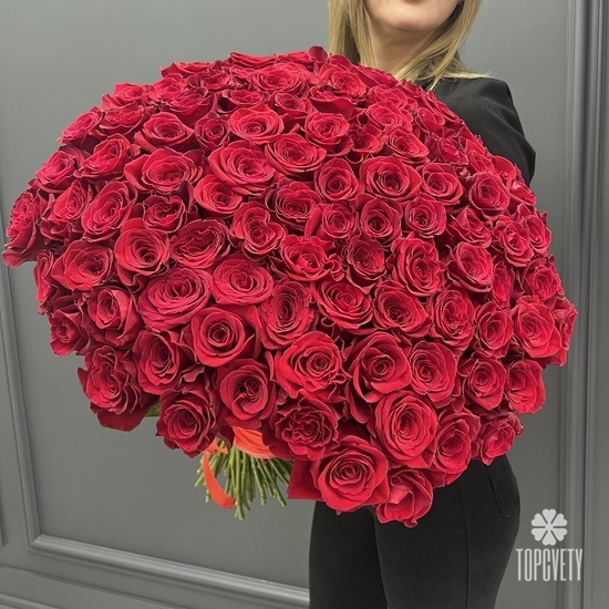 Букет из 101 красной розы Эксплорер 70см
