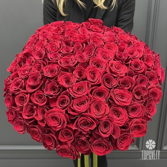 Букет из 101 красной розы Эксплорер 70см