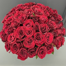 Букет из 51 красной розы Кения 40см