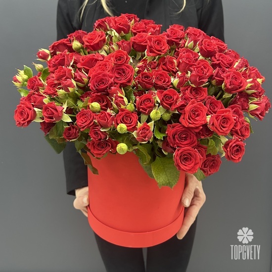 Букет из 51 красная кустовая роза в коробке