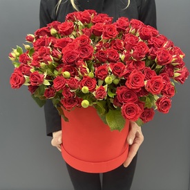 Букет из 51 красная кустовая роза в коробке