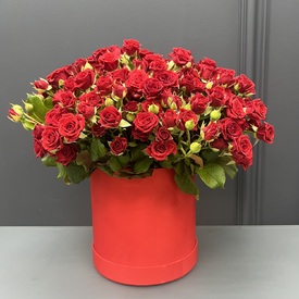 Букет из 51 красная кустовая роза в коробке