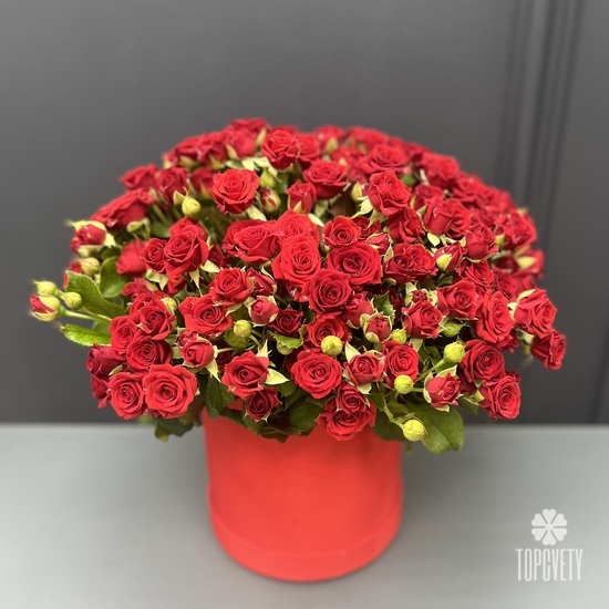 Букет из 51 красная кустовая роза в коробке