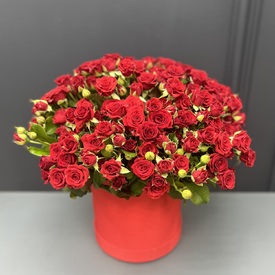 Букет из 51 красная кустовая роза в коробке