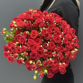 Букет из 51 красной розы кустовой 
