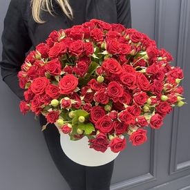 Букет из 51 кустовой розы в коробке