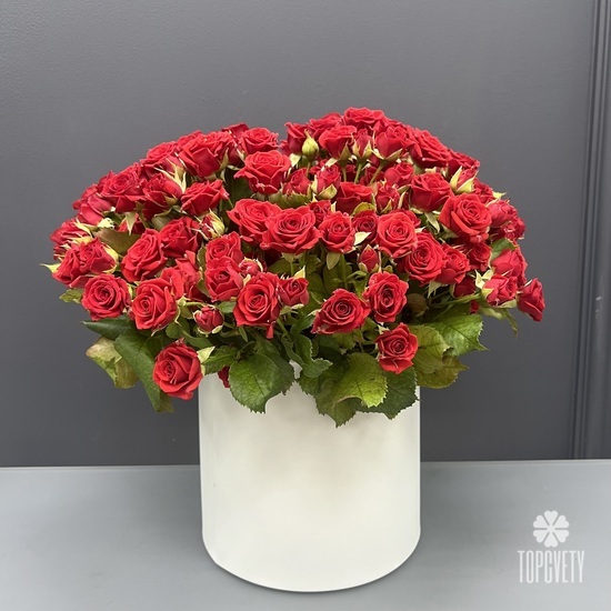 Букет из 51 кустовой розы в коробке