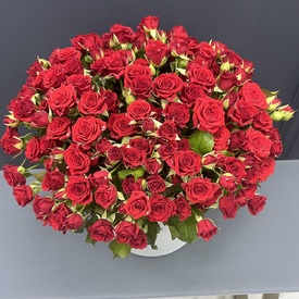 Букет из 51 кустовой розы в коробке