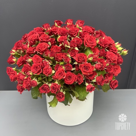 Букет из 51 кустовой розы в коробке