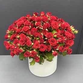 Букет из 51 кустовой розы в коробке