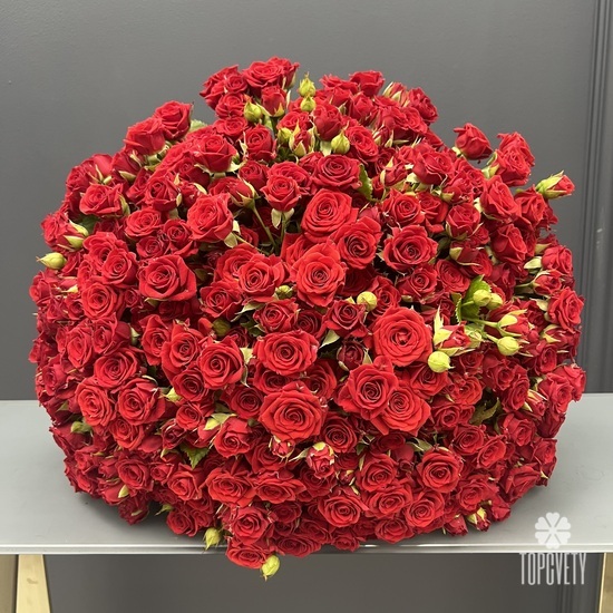 Букет из 101 красной кустовой розы 50см