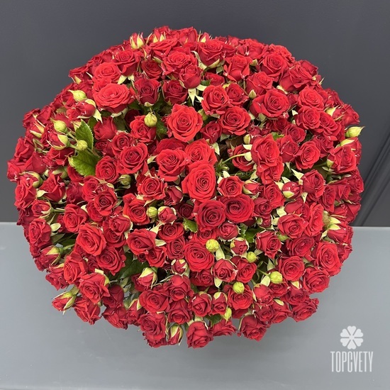 Букет 101 красная кустовая роза в коробке