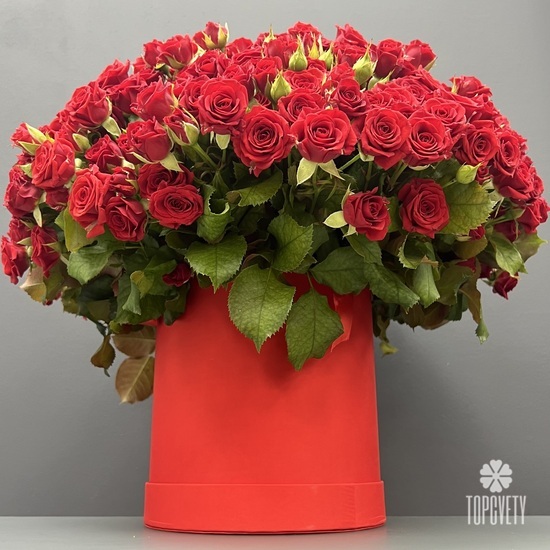Букет 101 красная кустовая роза в коробке
