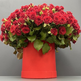 Букет 101 красная кустовая роза в коробке