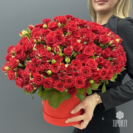 Букет 101 красная кустовая роза в коробке