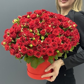 Букет 101 красная кустовая роза в коробке