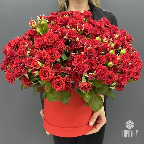 Букет 101 красная кустовая роза в коробке