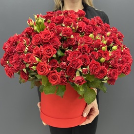 Букет 101 красная кустовая роза в коробке