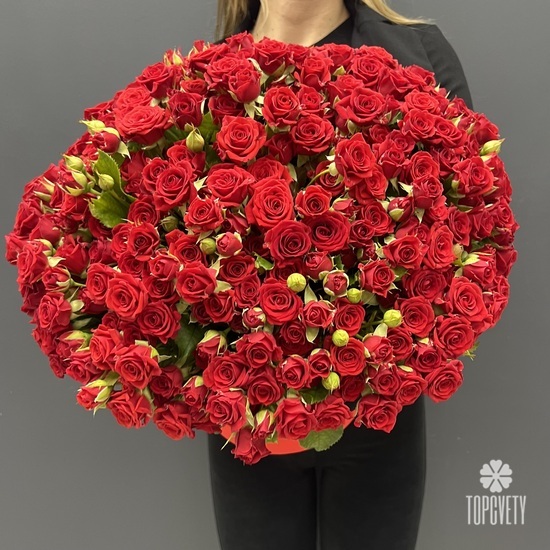Букет 101 красная кустовая роза в коробке