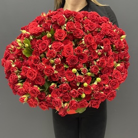 Букет 101 красная кустовая роза в коробке
