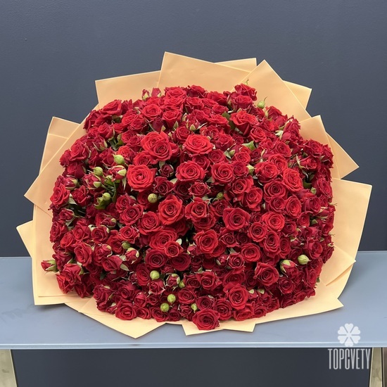 Букет из 101 красной кустовой розы  40см