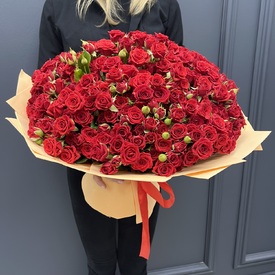 Букет из 101 красной кустовой розы  40см