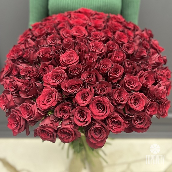 Букет из 101 красной розы Эквадор 70см