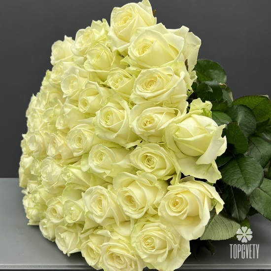 Букет из 51 белой розы Аваланж 70см