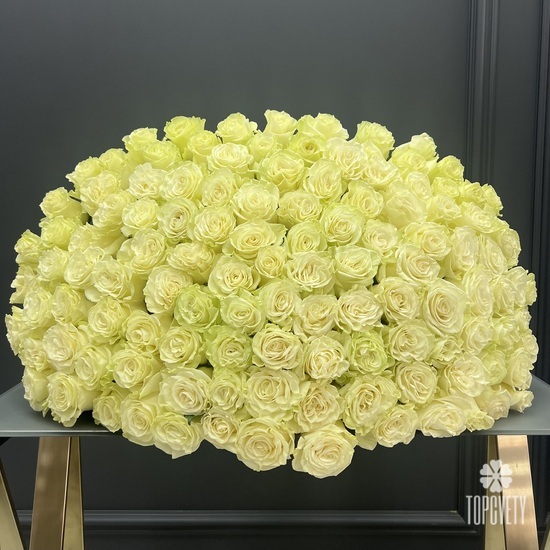 Букет из 101 белой розы Мондиаль 70см