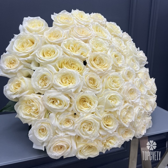 Букет из 51 белой пионовидных роз Кендл Лайт 60см