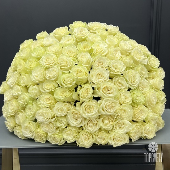 Букет из 101 белой розы Мондиаль 70см