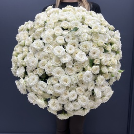 Букет из 101 белой кустовой  розы 50см