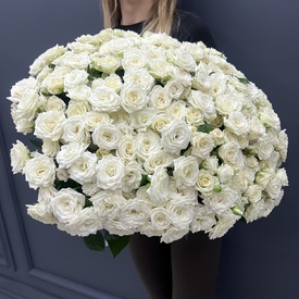 Букет из 101 белой кустовой  розы 50см