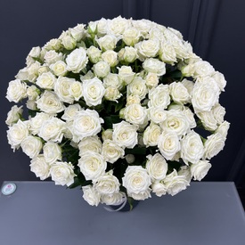 Букет из 51 белой кустовой розы 50см