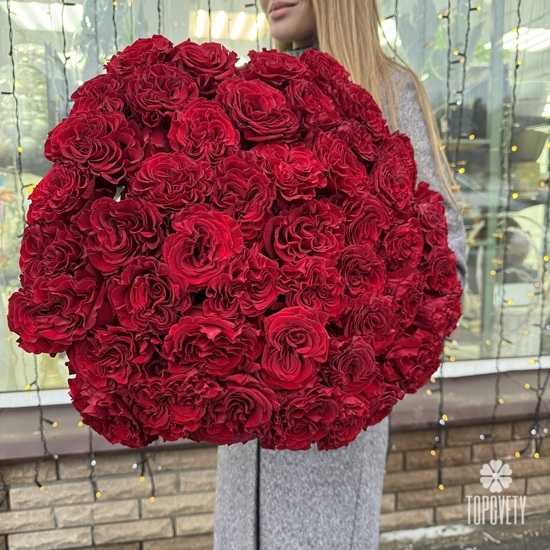 Букет из 51 красной розы пионовидной 60см