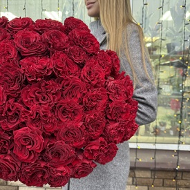 Букет из 51 красной розы пионовидной 60см