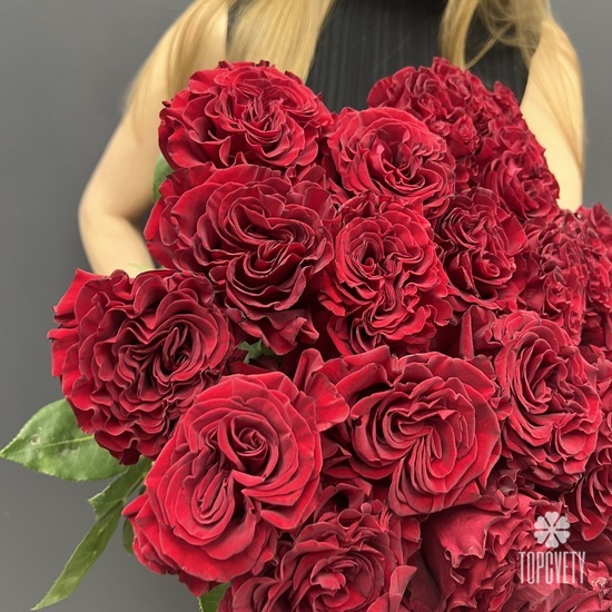 Букет из 25 красных роз пионовидных 60см