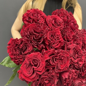 Букет из 25 красных роз пионовидных 60см