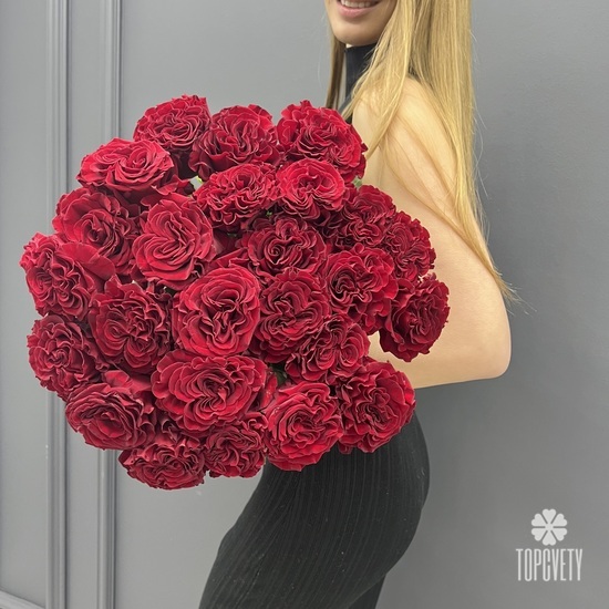 Букет из 25 красных роз пионовидных 60см