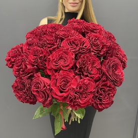 Букет из 25 красных роз пионовидных 60см