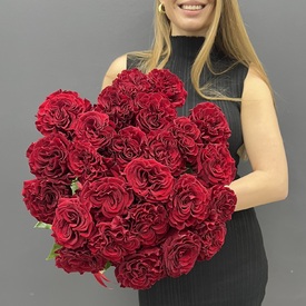 Букет из 25 красных роз пионовидных 60см
