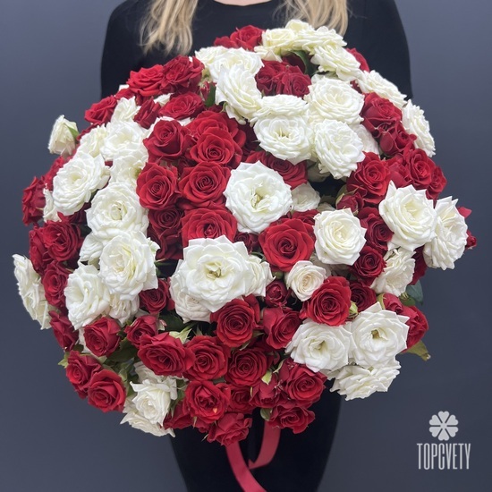 Букет из 51 красной и белой кустовой  розы 40см