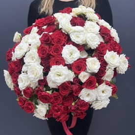 Букет из 51 красной и белой кустовой  розы 40см