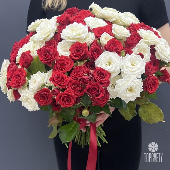 Букет из 51 красной и белой кустовой  розы 40см