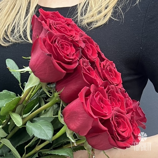 Букет из 15 красных роз Эксплорер 80см