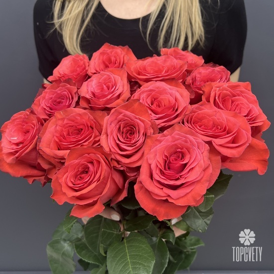 Букет из 15 красных роз  Эксплорер 70см