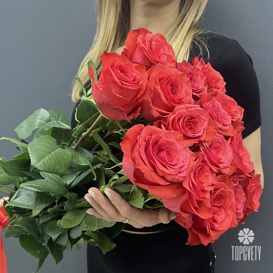 Букет из 15 красных роз  Эксплорер 70см