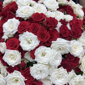 Композиция из 101 кустовой розы микс в коробке 