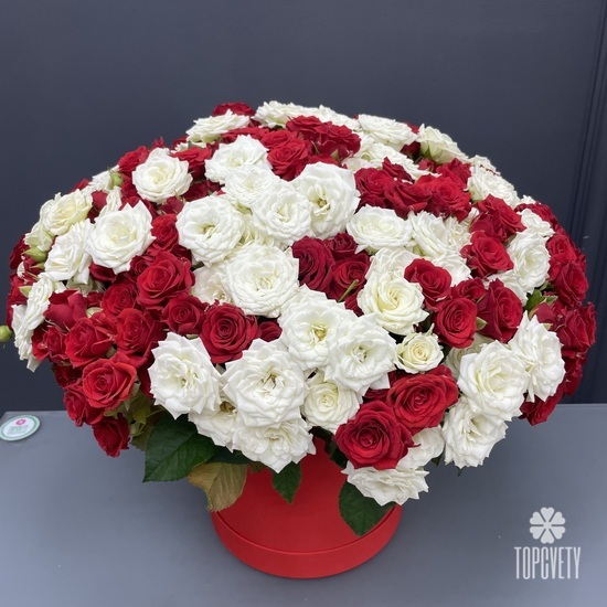 Композиция из 101 кустовой розы микс в коробке 