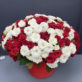 Композиция из 101 кустовой розы микс в коробке 